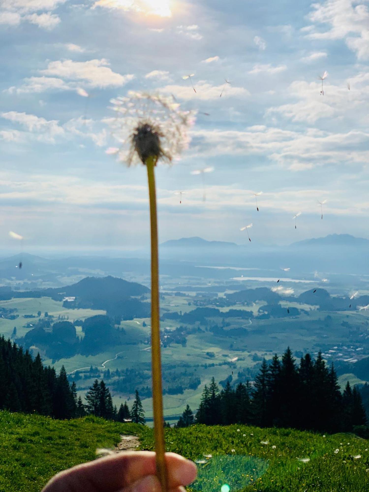 Ferienhaus Sommer Pfronten Esterno foto