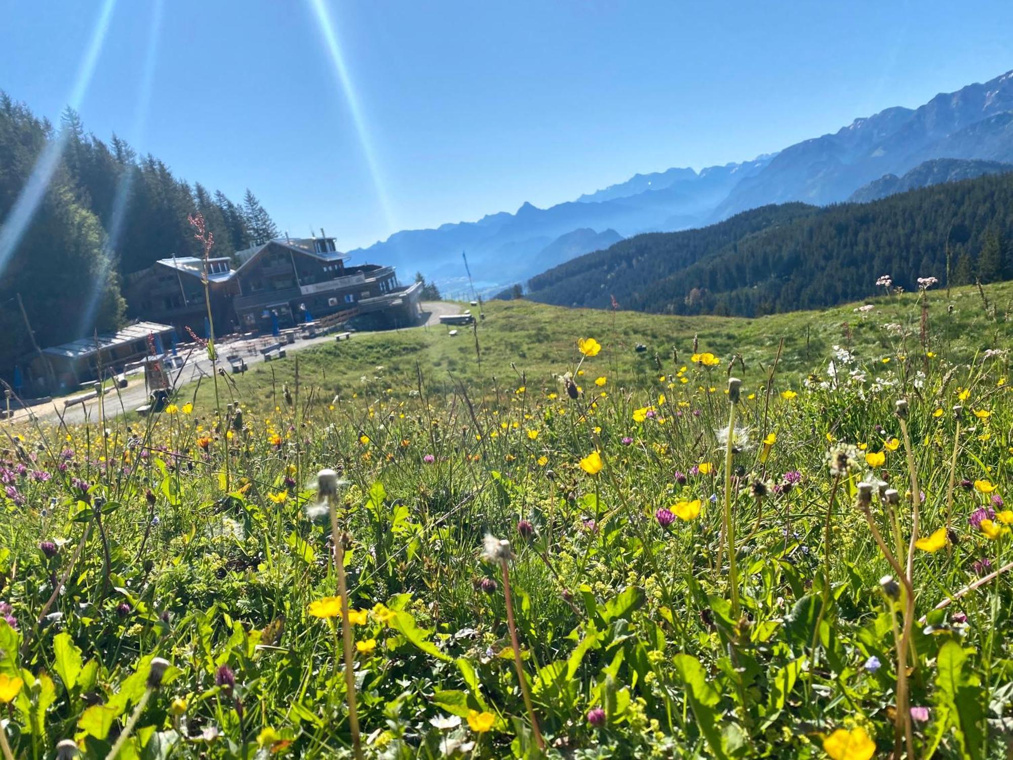 Ferienhaus Sommer Pfronten Esterno foto